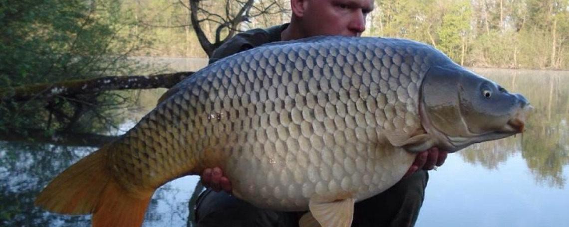 Fish photos photo 1 75510