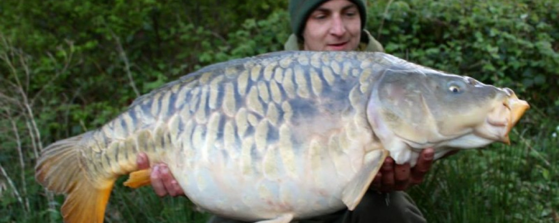 Fish photos photo 1 75631