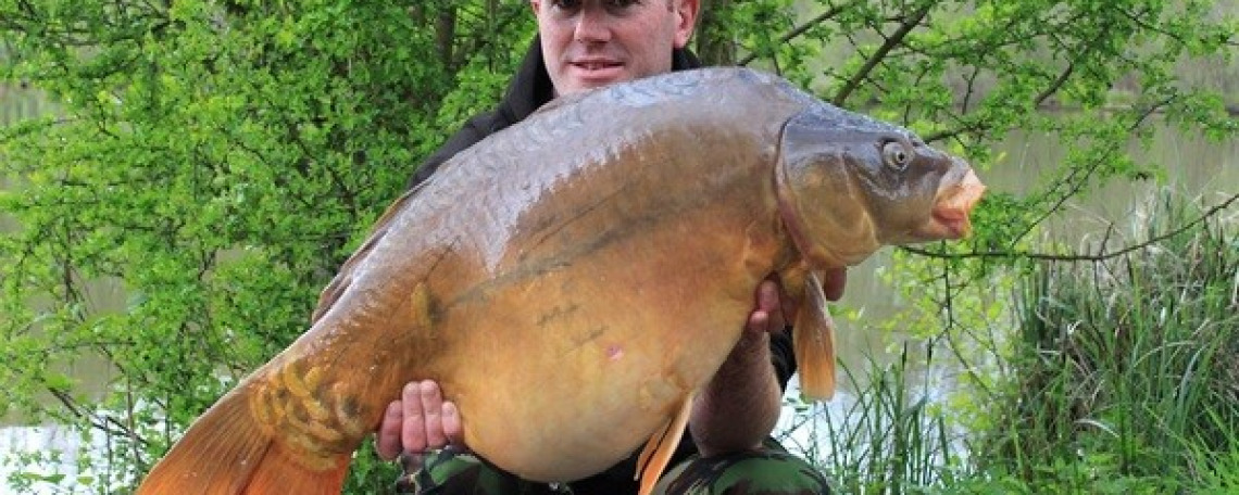 Fish photos photo 1 75649