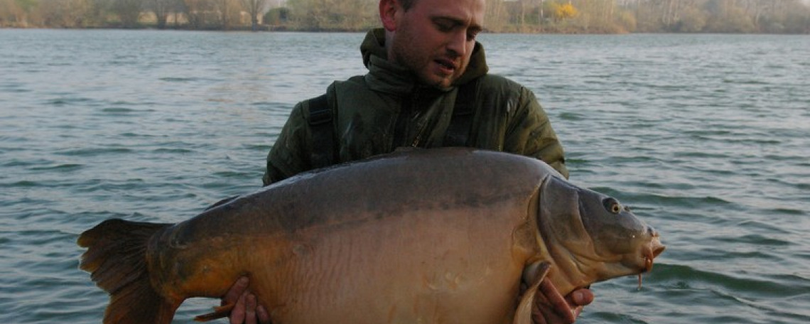 Fish photos photo 1 75895