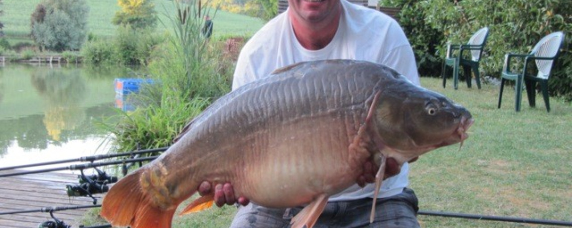 Fish photos photo 1 74828