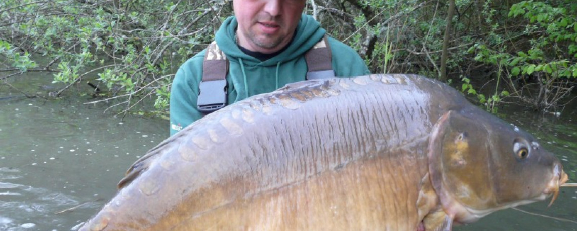 Fish photos photo 1 75448