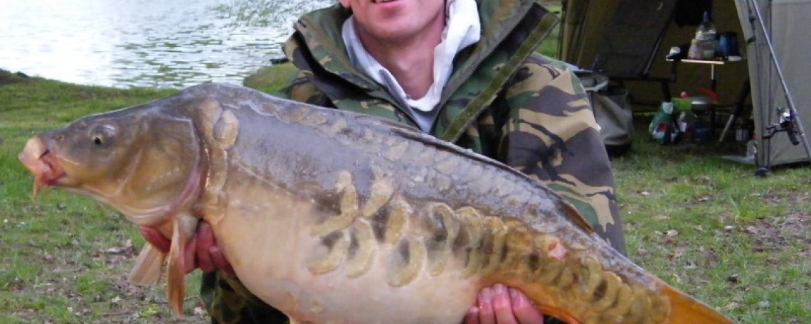 Fish photos photo 1 75111