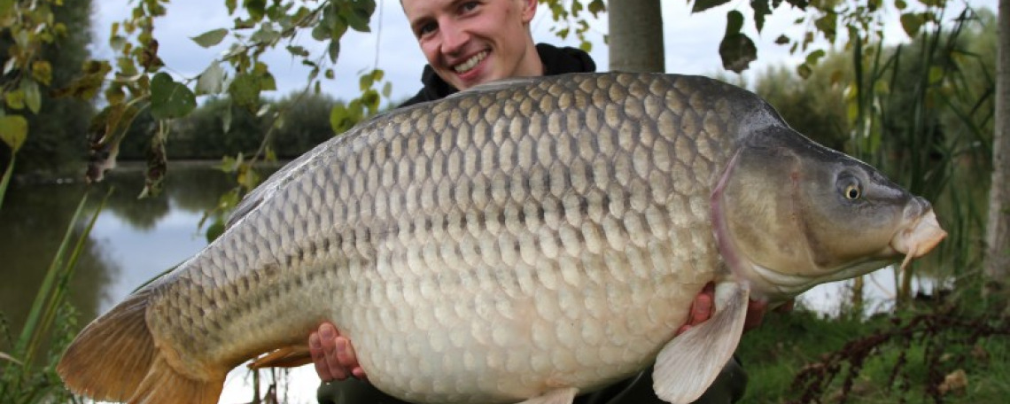 Fish photos photo 1 74959