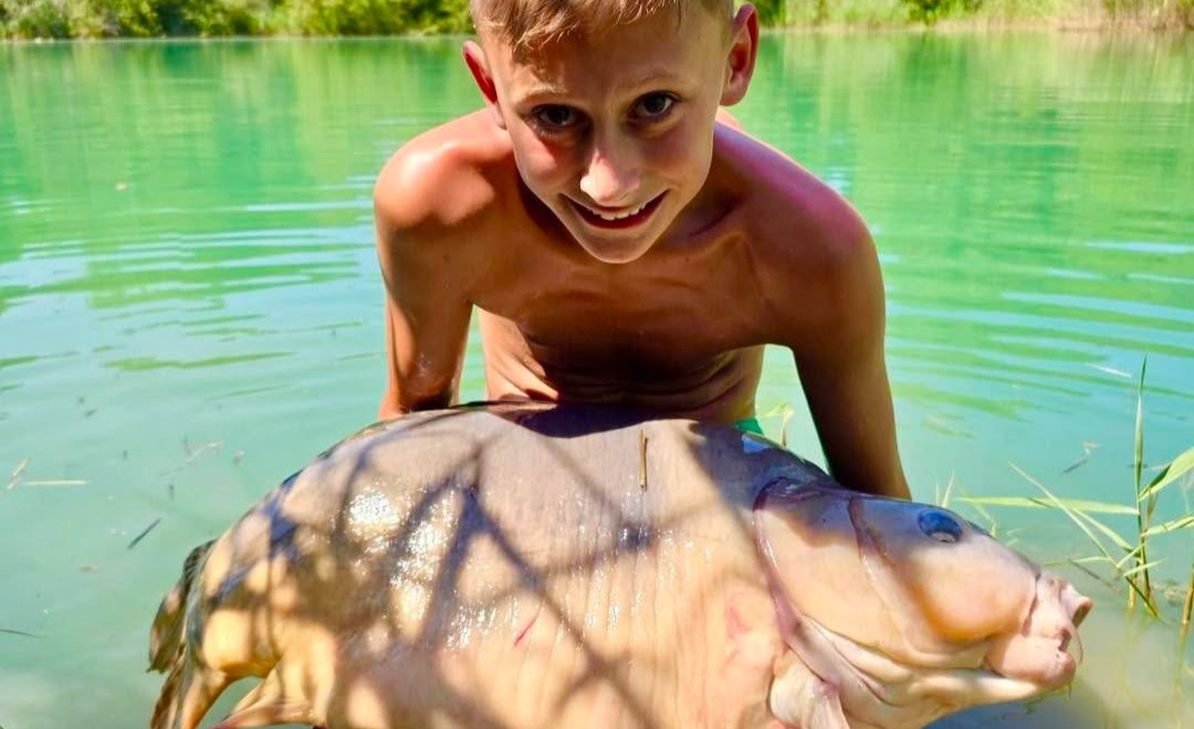Fish photos photo 1 Golden Carp Lake