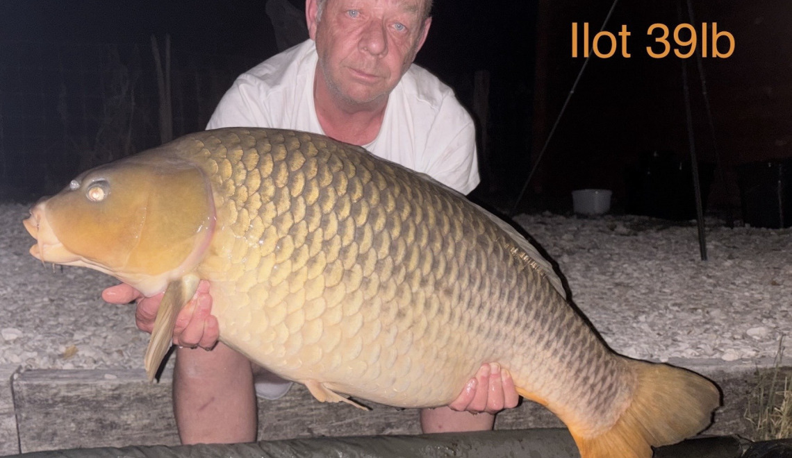 Fish photos photo 1 Ilot