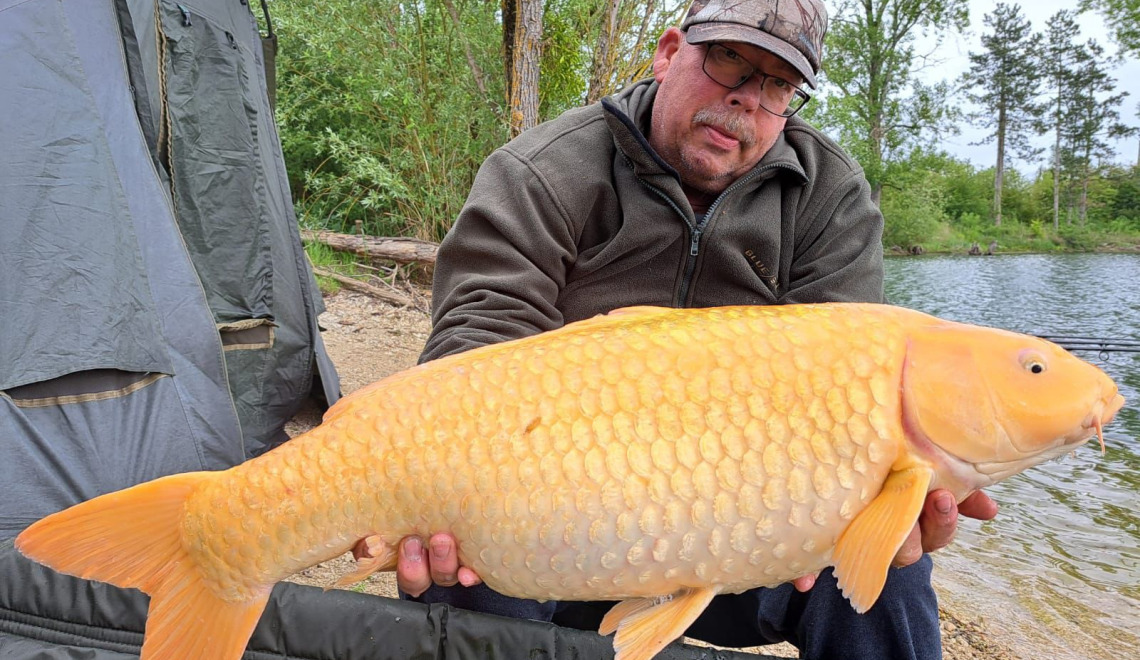 Fish photos photo 1 Grandes Cimes