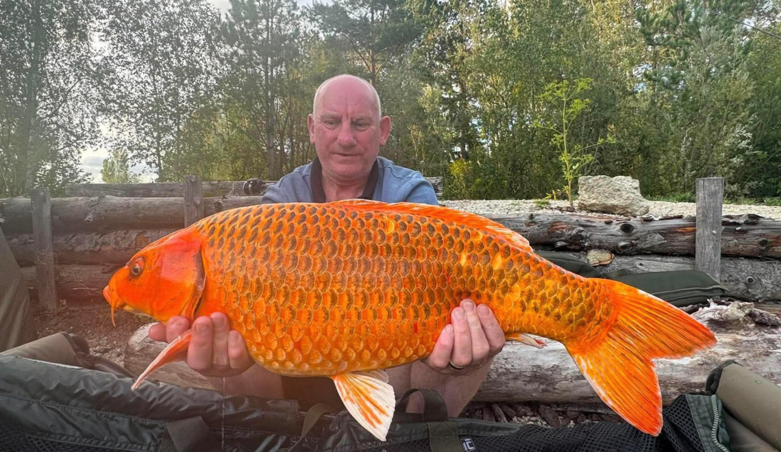 Fish photos photo 1 Grandes Cimes