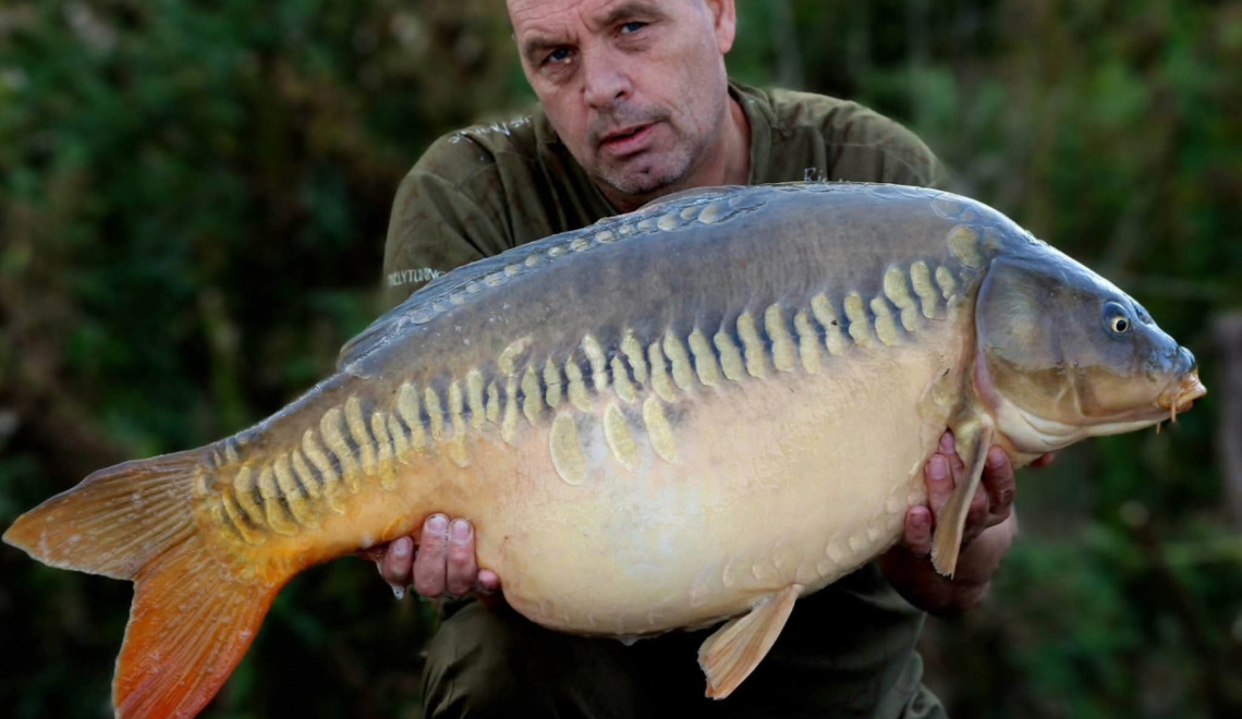 Fish photos photo 1 Grandes Cimes