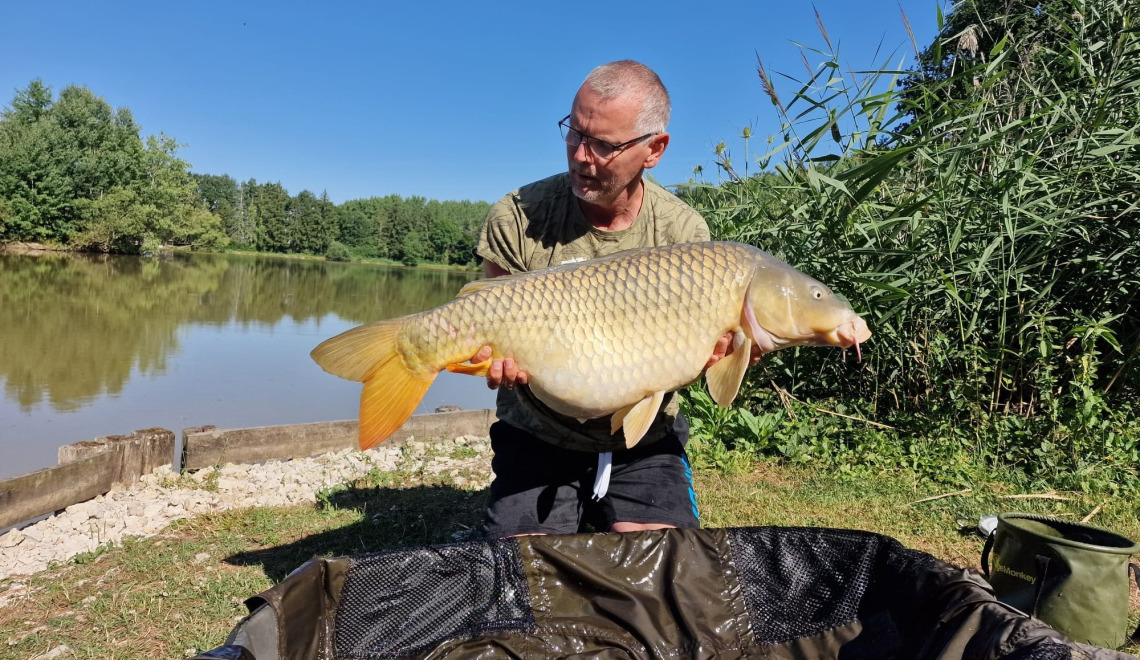 Fish photos photo 1 Renarde