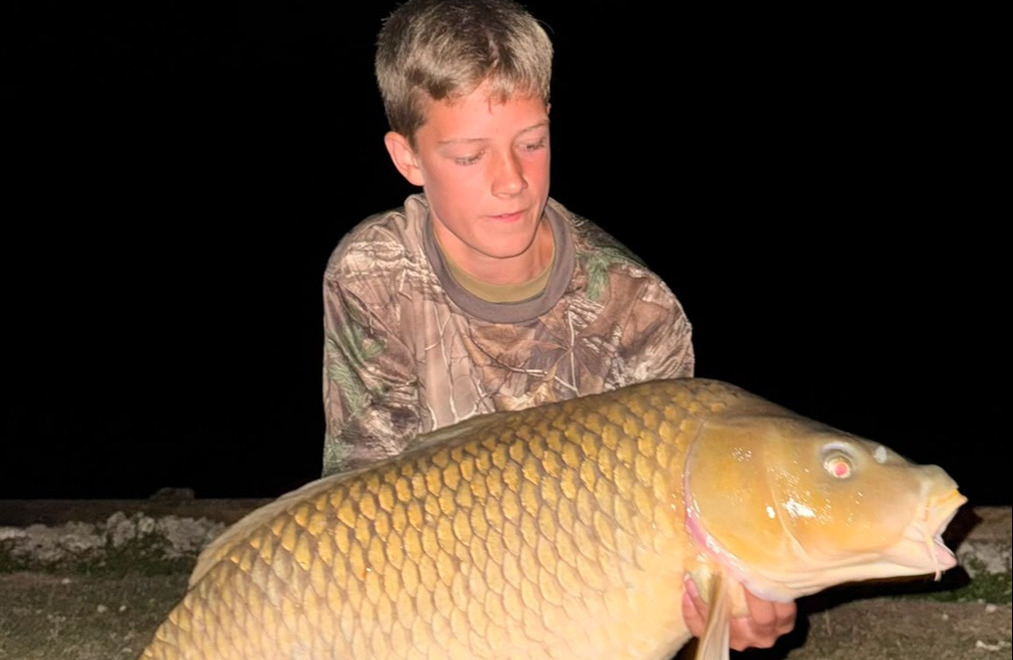 Fish photos photo 1 Renarde