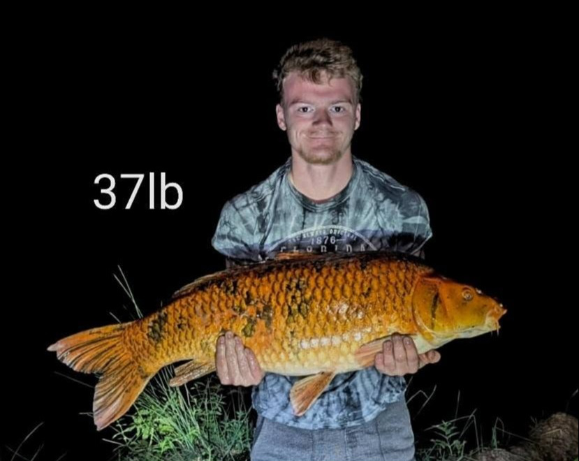 Fish photos photo 1 Jonchery 8