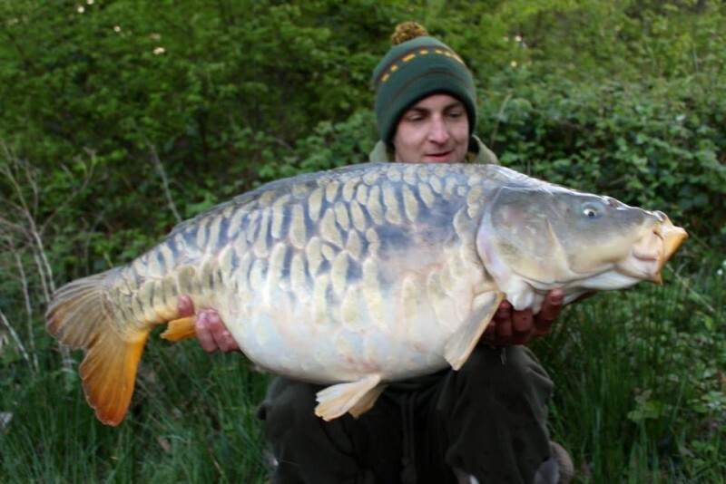 Fish photos photo 1 Brie
