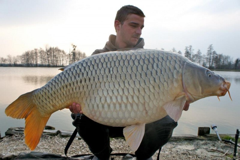 Fish photos photo 1 Jonchery