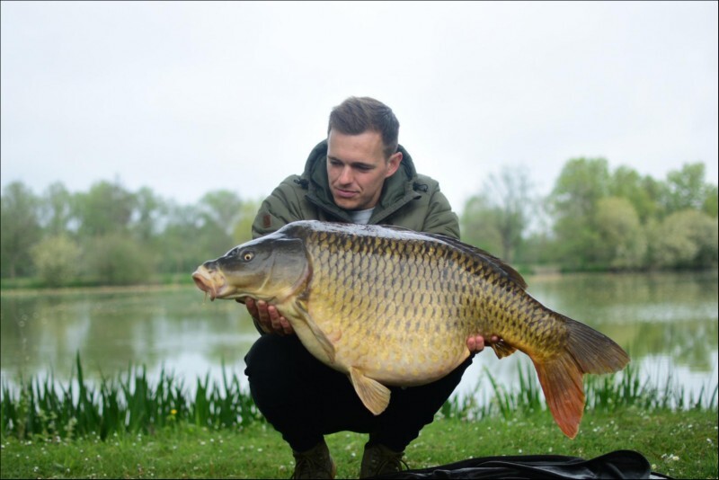 Fish photos photo 1 Seigneurie