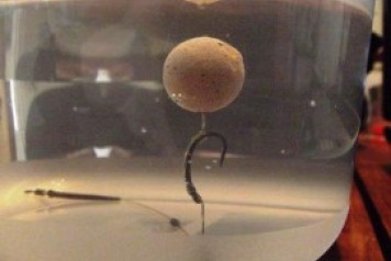 Carp Rigs to Catch a Villefond Monster