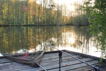 A Tactical Guide To La Fonte