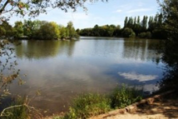 Inside Information - Picking your swim