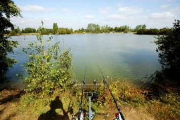 Laroussi Impressions