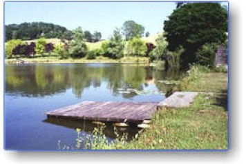 Something a bit special!