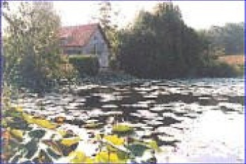 The family perspective