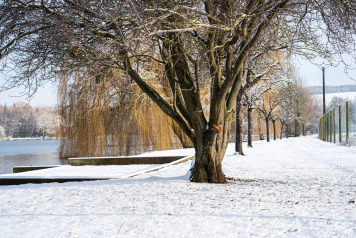 A Cold Morning on Seigneurie - 3