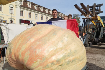Giant Pumpkins! - 3