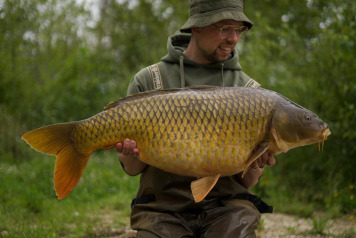 A beautiful koi is out - 1