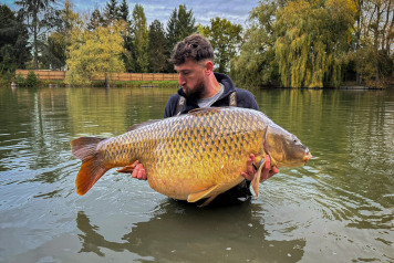 Seigneurie joins the 70's club! - 3