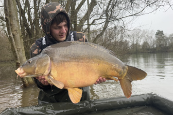 Additional Stock - 4