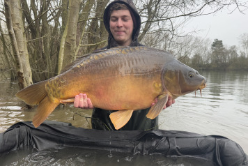 Additional Stock - 10