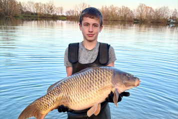 New Additional Stock - 2