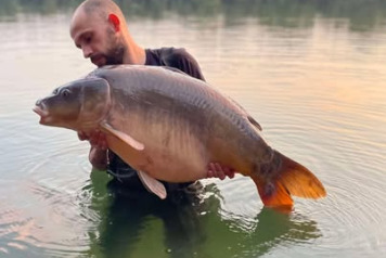 Great Week on the Bank - 1