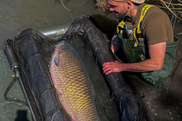 Huge Grass Carp - 3