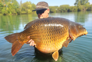 Laroussi Summer News - 3