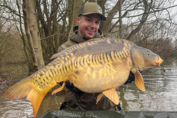 Additional Stock - 1