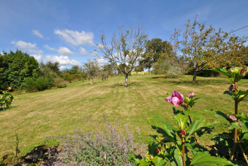 Previous Reviews - 2