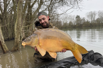 Additional Stock - 7