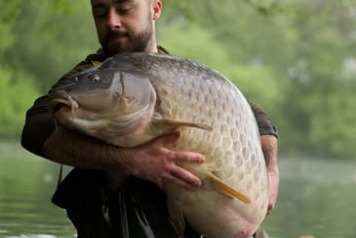 Big Common is out again - 1