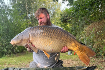 FAREWELL 2024! BONJOUR 2025! - 2