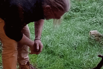 LATEST ON DAVE THE CAT :) - 1