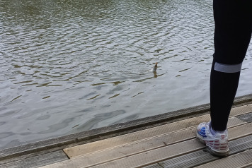 Happy 16th Jake! - 5