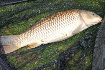 Happy 16th Jake! - 8