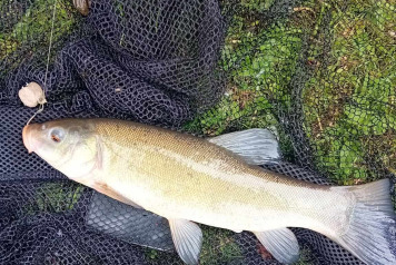 Happy 16th Jake! - 7