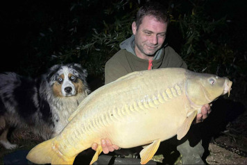 A Week of Exceptional Results - 3