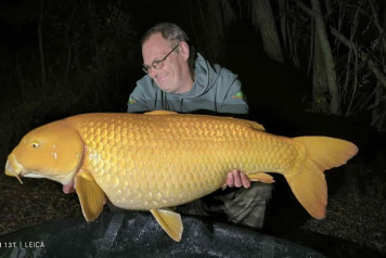 A Week of Exceptional Results - 1