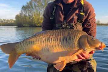 More Beautiful Scales on the Bank! - 2