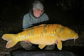 A Week of Exceptional Results - 5