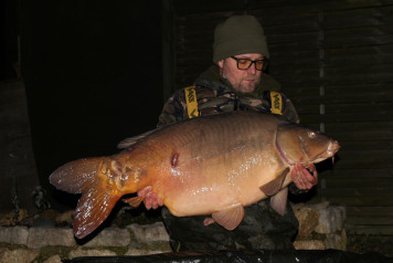 Christmas Delight - 1