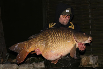 Christmas Delight - 2